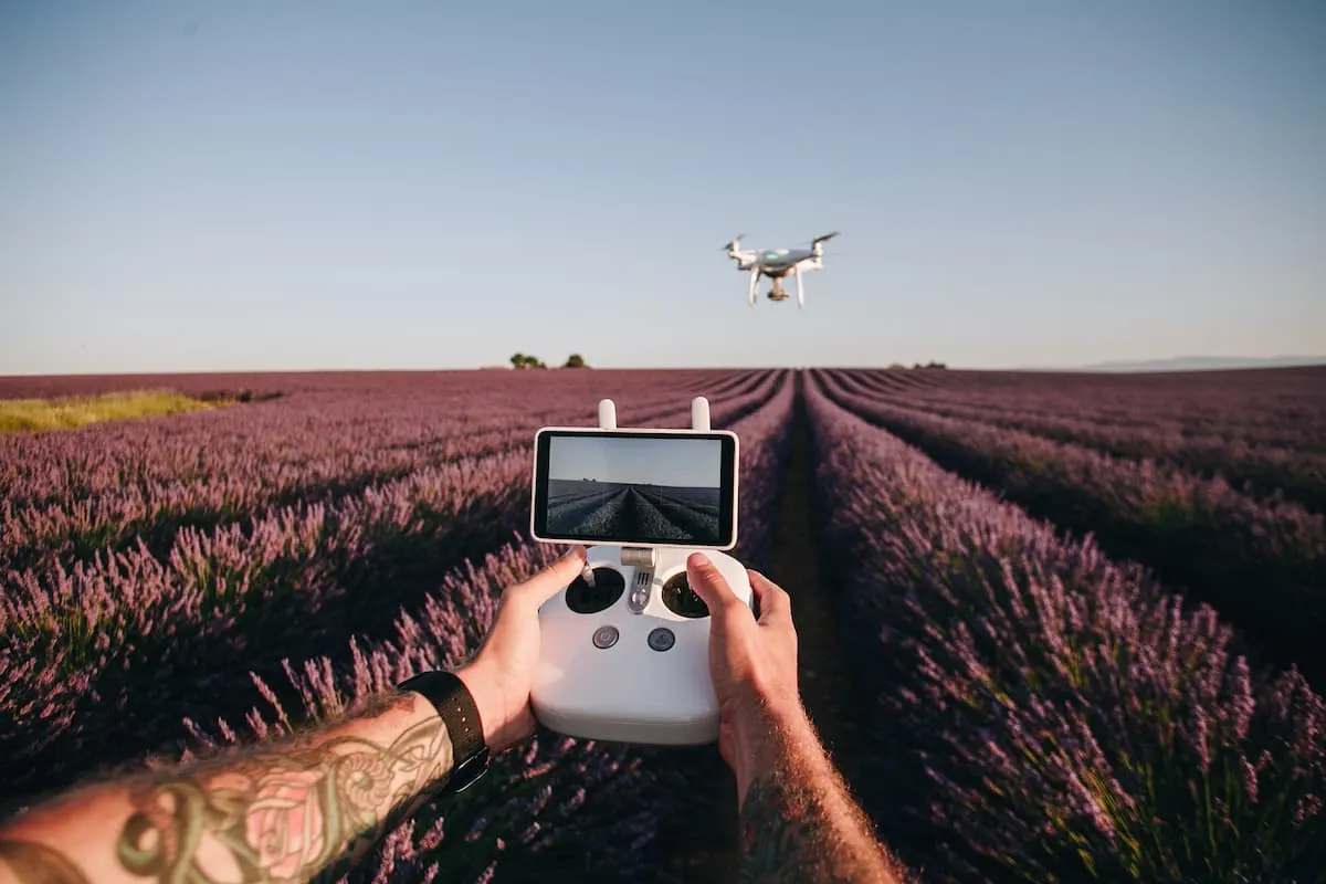 Manos controlando un dron sobre un campo de lavanda al atardecer.