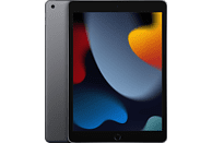 iPad (2021 9ª gen)