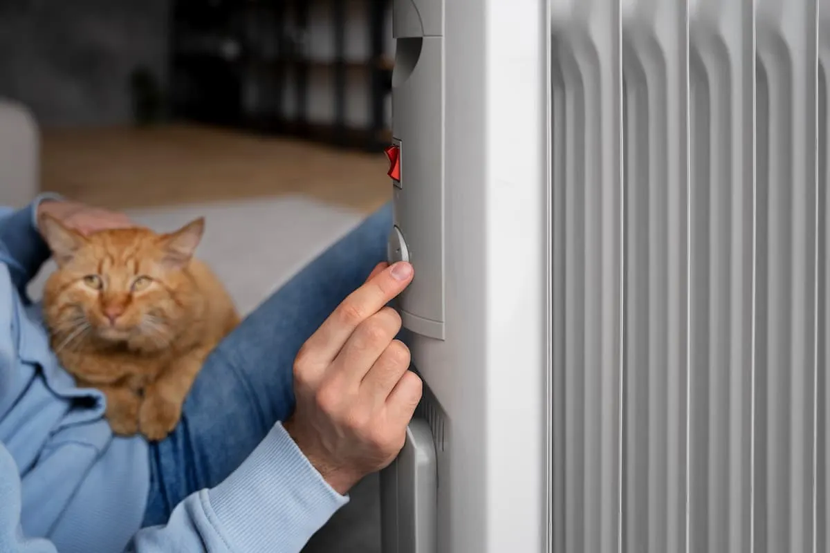 propietario sosteniendo gato y subiendo el calor de un radiador eléctrico