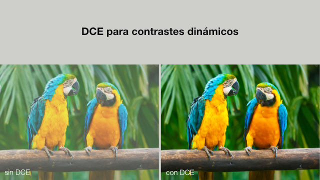 No hay descripción de la imagen.