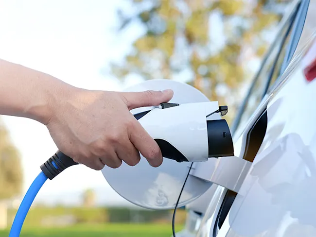 Mano conecta un cargador blanco y negro con cable azul a un coche blanco. Árboles y césped difuminados al fondo.