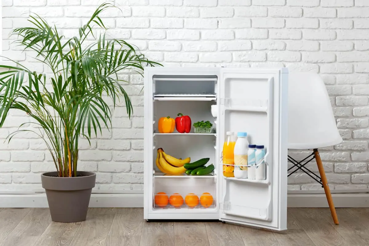 Mini nevera abierta con frutas, verduras y bebidas, junto a una planta.