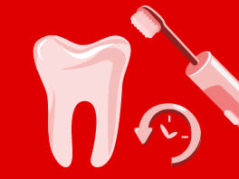 Cepillos con temporizador