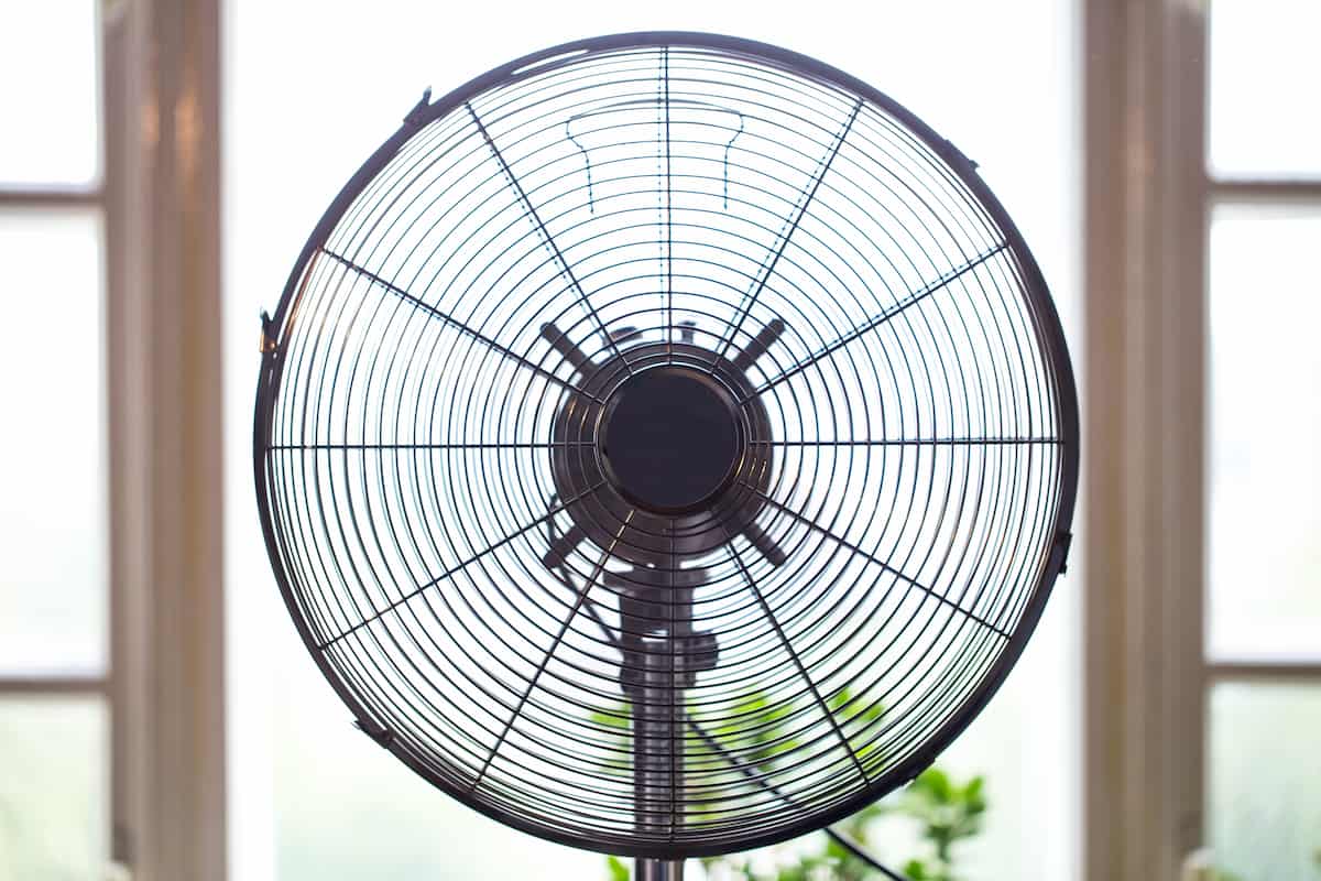 Ventilador de pie negro visto de frente con fondo de ventanas iluminadas