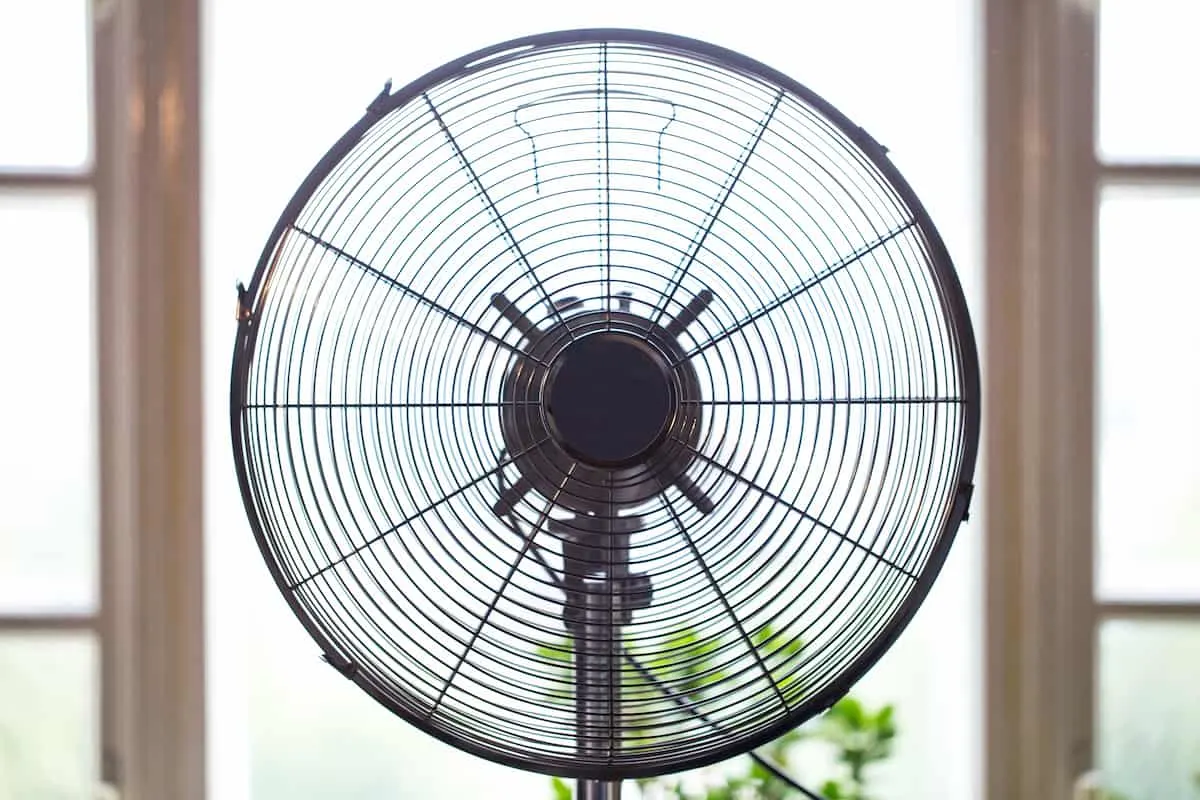 Ventilador de pie negro visto de frente con fondo de ventanas iluminadas