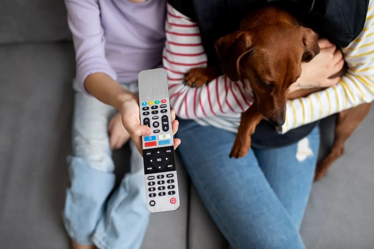 Persona sosteniendo un mando a distancia junto a un perro en el sofá.