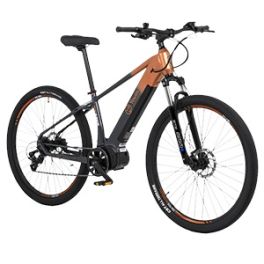 Product image of category MTB eléctrica