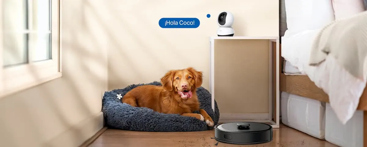 Perro descansando junto a una cámara inteligente Tapo y un robot aspirador