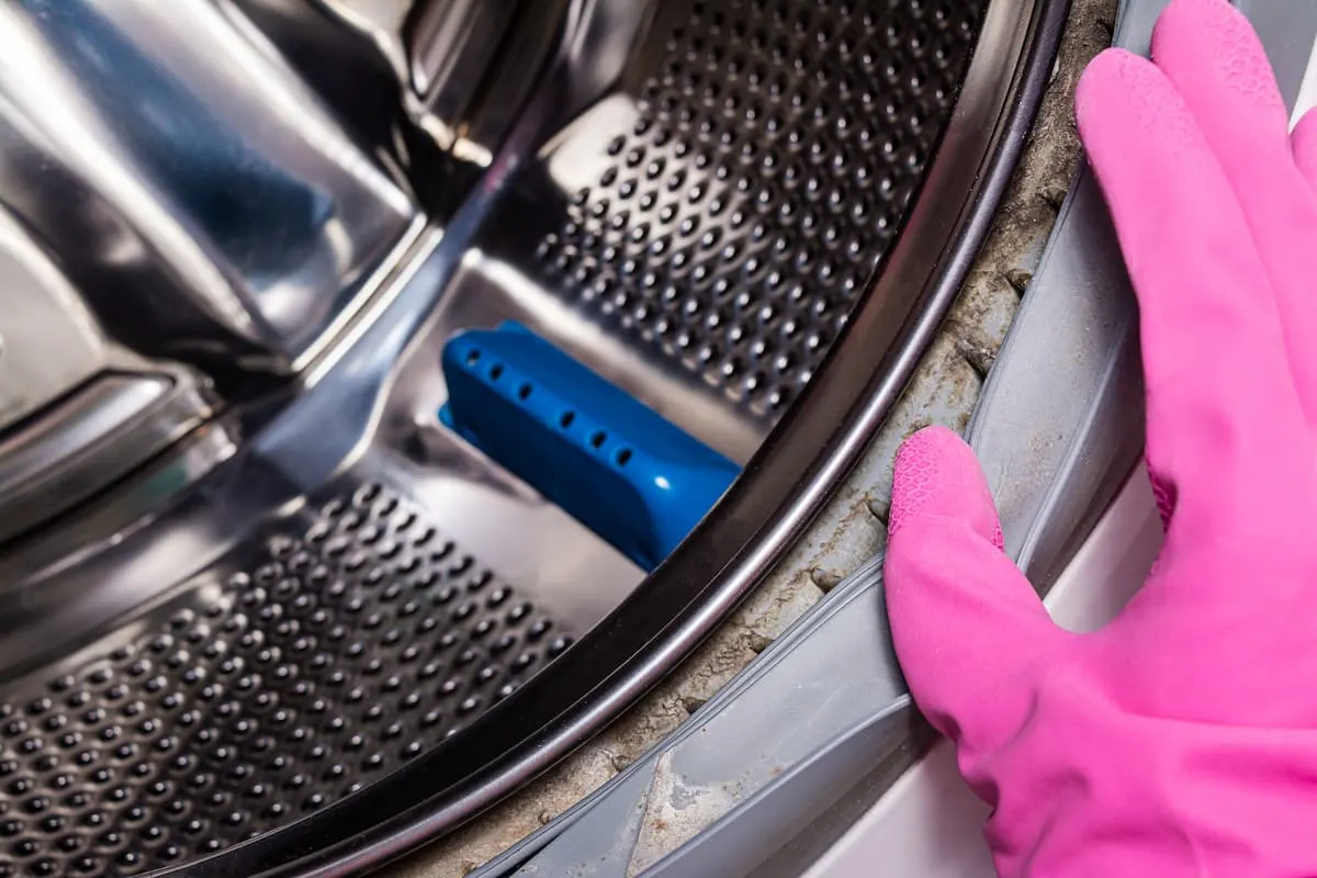 Mano con guante rosa mostrando suciedad y restos de moho en la goma del tambor interior de una lavadora de acero inoxidable.