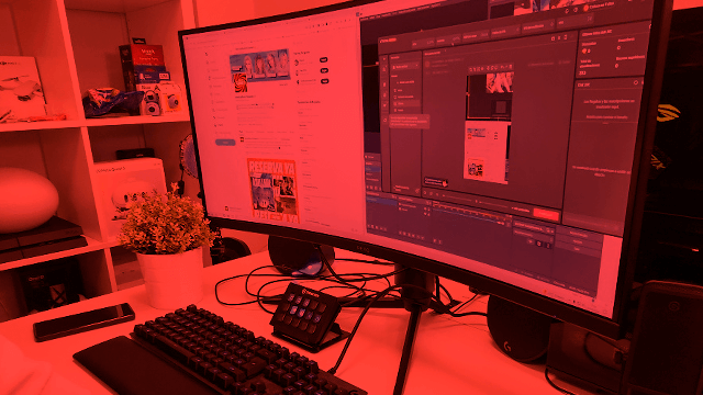 Escritorio con dos pantallas, teclado, teléfono y planta en maceta blanca. Estantería con objetos variados al fondo.