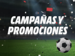 Descubre todas nuestras ofertas