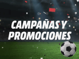 Descubre todas nuestras ofertas