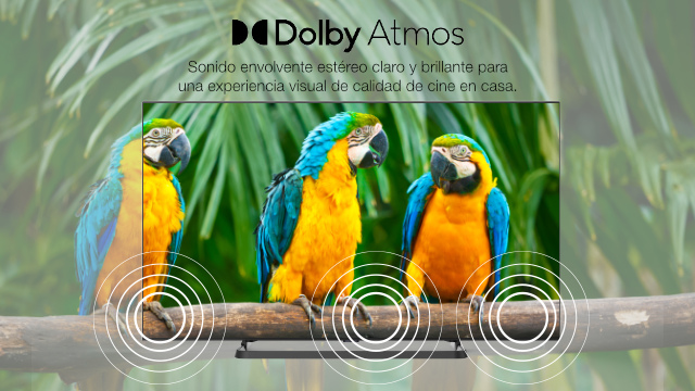 No hay descripción de la imagen.