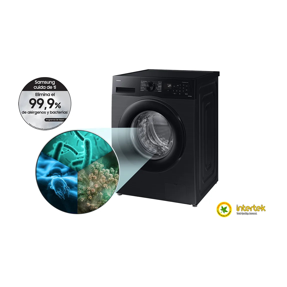 No hay descripción de la imagen.