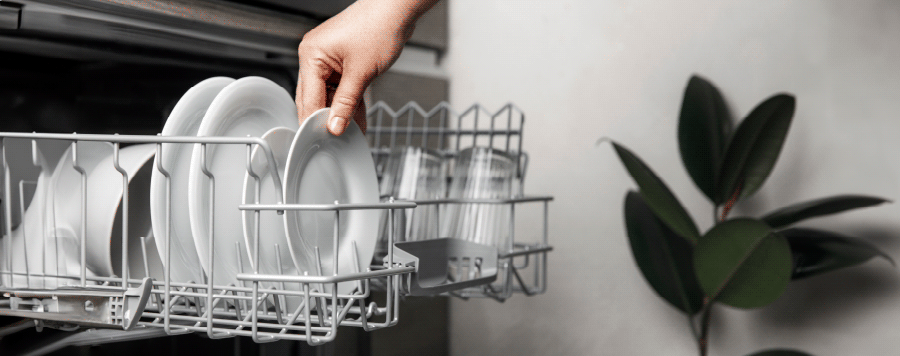 Mano sacando plato blanco de lavavajillas con platos y vasos. Planta con hojas oscuras al fondo a la derecha.