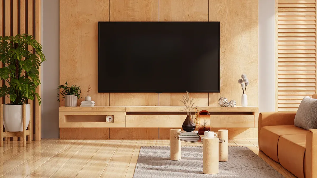 Televizyonda ses var görüntü yok