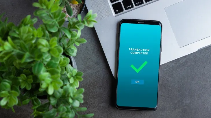 Telefonlarda Lite ne demek