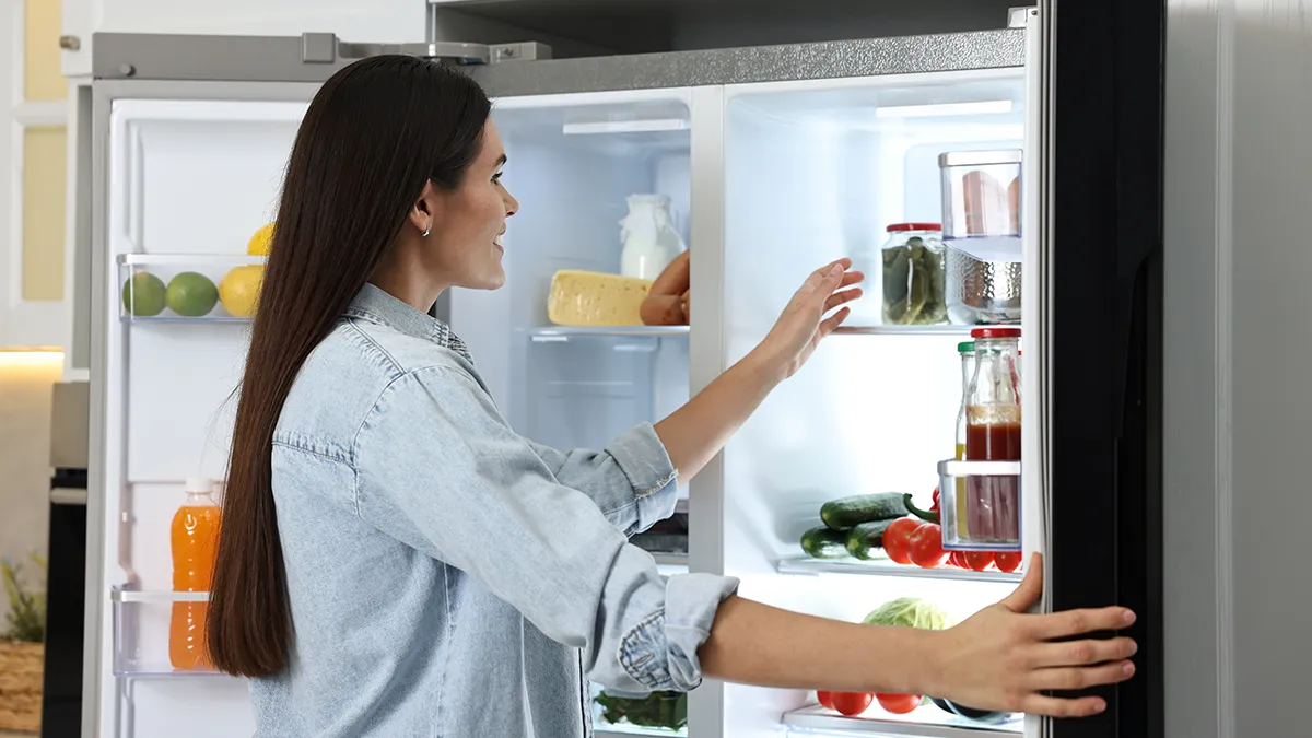 Statik mi no frost buzdolabı mı?