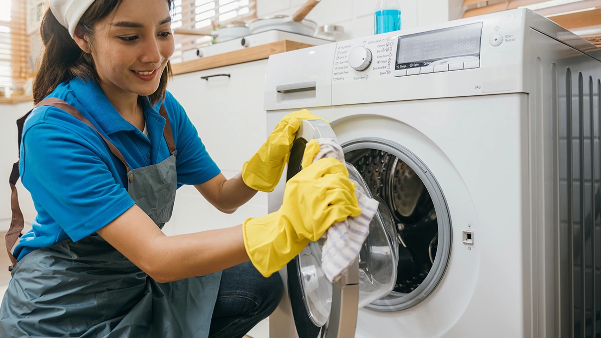 Çamaşır makinesi programları