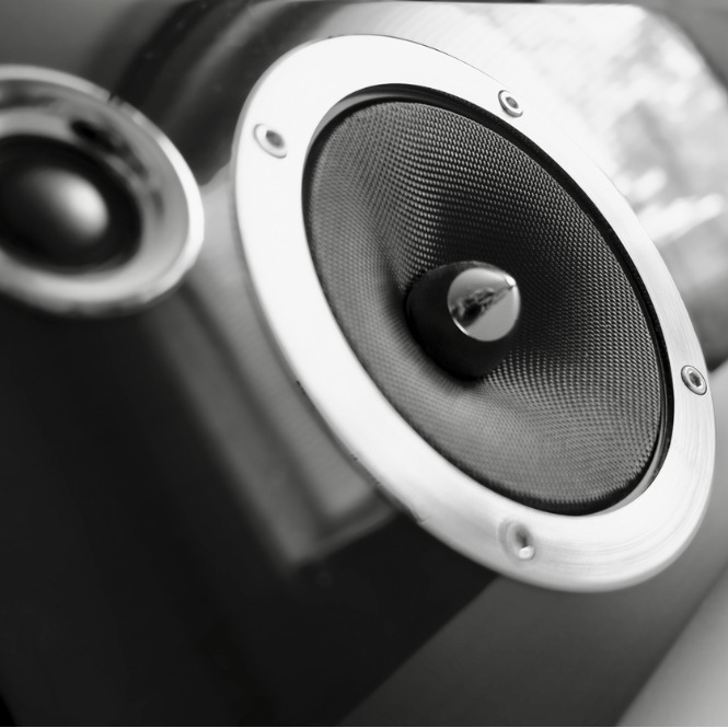 Gri tonlamalı fotoğrafta, metalik çerçeveli, dokulu siyah hoparlör yakından görülüyor. Küçük, dairesel bir hoparlör de kısmen görünüyor.