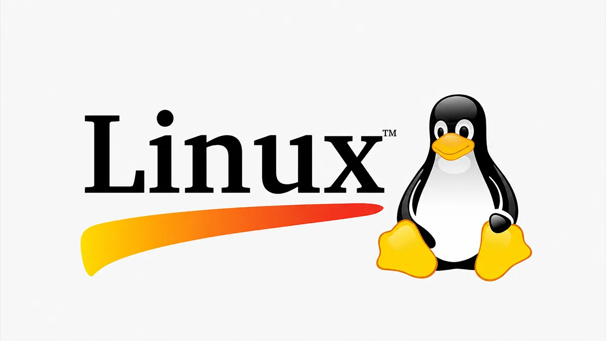 FreeDOS bilgisayar Linux kurulum adımları